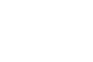 MSG